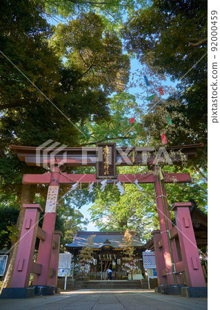 Tanabata decoration of the shrine Sakura City Makata Shrine 92000459
