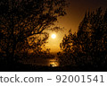 Nightfall of the southern country 92001541