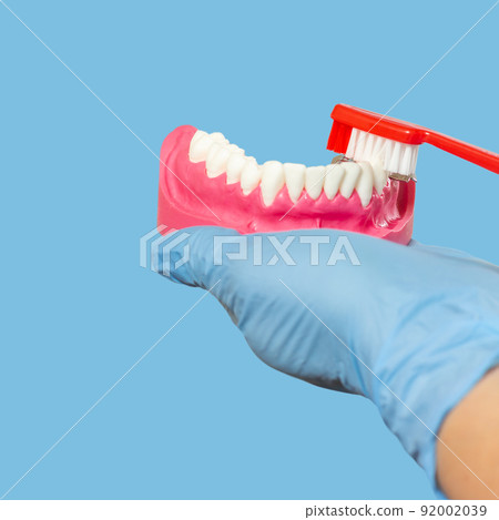 Dentist with toothbrush and layout of the human jaw. 92002039