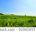 The magnificent plateau of Mt. Aso 92002655