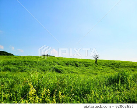 壯麗的阿蘇山高原 92002655