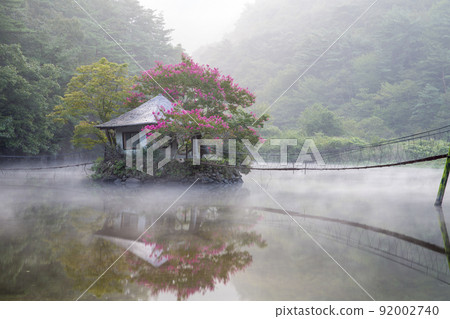 紅小蘗花林中的一日休閒小鎮 紅小蘗花林中的一日休閒小鎮 92002740