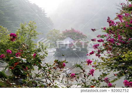 One-day leisure town in the forest where the red barberry blossoms One-day leisure town in the forest where the red barberry blossoms 92002752