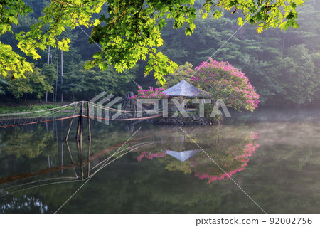 紅小蘗花林中的一日休閒小鎮 紅小蘗花林中的一日休閒小鎮 92002756