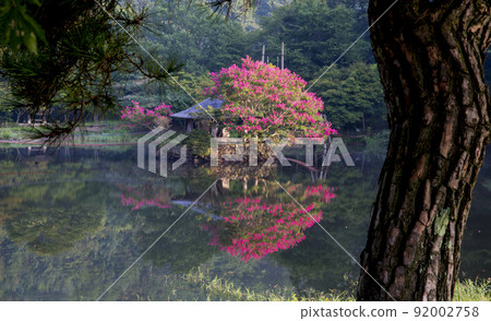 One-day leisure town in the forest where the red barberry blossoms One-day leisure town in the forest where the red barberry blossoms 92002758