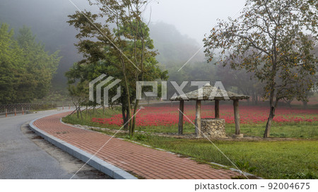 Gochang Seonunsa Temple in full bloom 92004675
