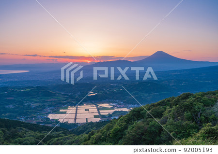 (靜岡縣)塔納盆地的稻田和富士山日落美景 (靜岡縣)塔納盆地的稻田和富士山日落美景 92005193