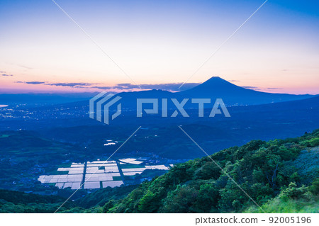 （靜岡縣）塔納盆地的稻田和富士山日落美景 92005196