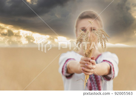 girl with wheat in her hands against the backdrop of the sunset sky girl with wheat in her hands against the backdrop of the sunset sky 92005563