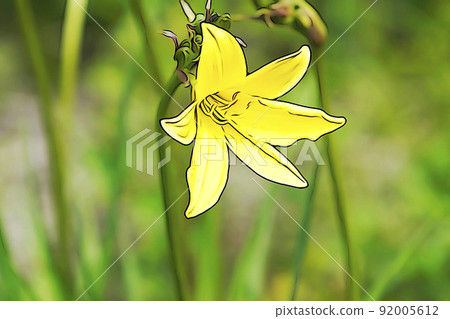 Pastel-like "flower in full bloom" illustration image 92005612