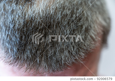 Short gray hair on a man's head. A mature man. Close-up. Selective focus. Short gray hair on a man's head. A mature man. Close-up. Selective focus. 92006579