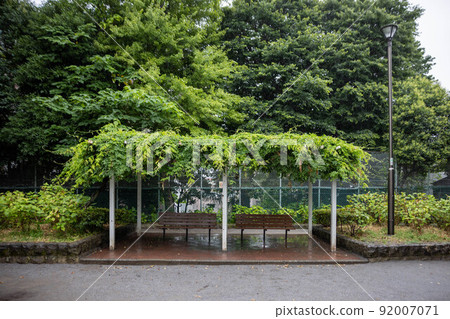 Park bench on rainy day 92007071