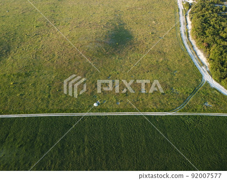 Aerial view on green wheat field in countryside. Field of wheat blowing in the wind on sunset. Young and green Spikelets. Ears of barley crop in nature. Agronomy, industry and food production. 92007577