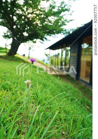 大分縣楠町切留山 92007757