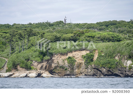 Tojinbo coast seen from a sightseeing boat 92008360