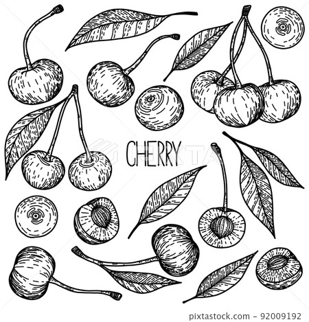 Hand drawn sketch style vector cherry set isolated on white background, eco food illustration Hand drawn sketch style vector cherry set isolated on white background, eco food illustration 92009192