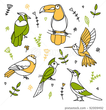 Set of bright tropical fantasy birds of paradise in doodle style with floral and vegetal ornaments Set of bright tropical fantasy birds of paradise in doodle style with floral and vegetal ornaments 92009492
