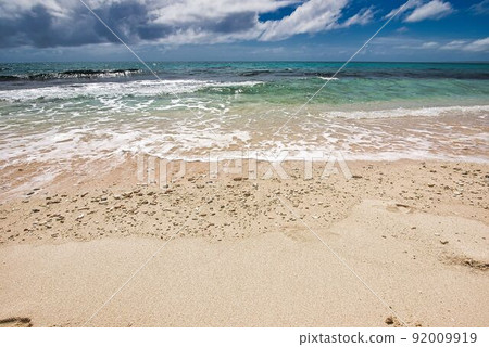 The beach 92009919