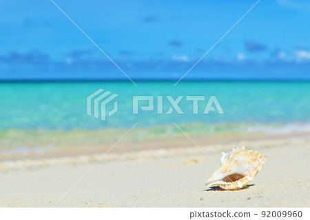 Okinawa Miyakojima sea and seashells Okinawa Miyakojima sea and seashells 92009960