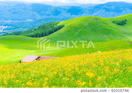 [Summer material] Nikko Kisuge in full bloom on the Kurumayama plateau and Kirigamine [Nagano Prefecture] 92010746