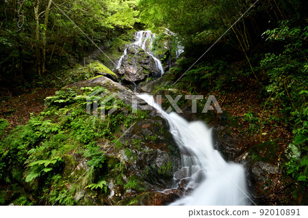 Hiryu Waterfall (Nunobikino Falls) [Kakiuchi, Hakusan-cho, Tsu City, Mie Prefecture] 92010891
