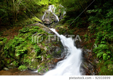 Hiryu Waterfall (Nunobikino Falls) [Kakiuchi, Hakusan-cho, Tsu City, Mie Prefecture] 92010899
