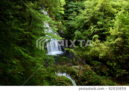 Kiryu Waterfall (Nunobikino Falls) [Kakiuchi, Hakusan-cho, Tsu City, Mie Prefecture] 92010959