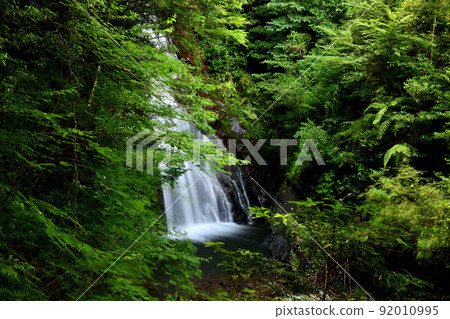 Kiryu Waterfall (Nunobikino Falls) [Kakiuchi, Hakusan-cho, Tsu City, Mie Prefecture] 92010995
