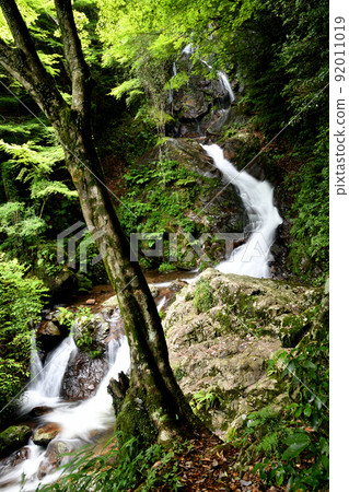 Dainichi Falls / Hiryu Falls (Nunobikin Falls) [Kakiuchi, Hakusan-cho, Tsu City, Mie Prefecture] 92011019
