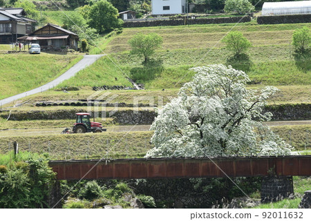 One by one One by one 92011632