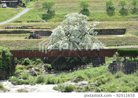 一個接一個 92011658