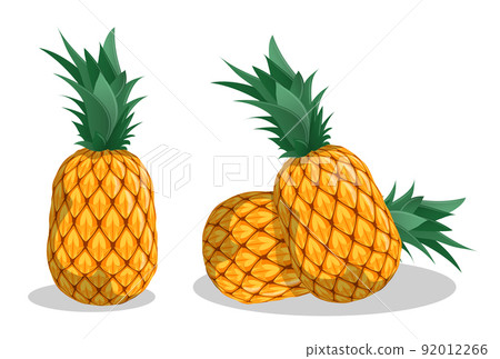 Juicy ripe pineapple, ananas. Harvesting tropical fruits. Cartoon realistic vector isolated on white background Juicy ripe pineapple, ananas. Harvesting tropical fruits. Cartoon realistic vector isolated on white background 92012266
