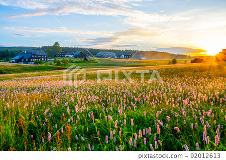Summer meadow at sunset time 92012613