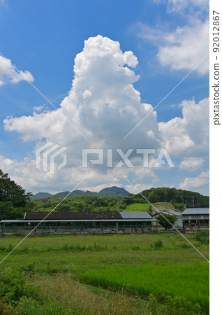 夏季傳統 中野之夏 夏季傳統 中野之夏 92012867