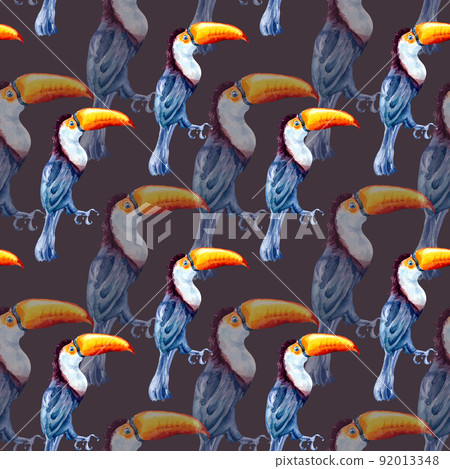 Toucan exotic tropical bird watercolor seamless pattern isolated 92013348