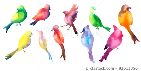 Set of colorful birds silhouette watercolor illustration white background. 92013350
