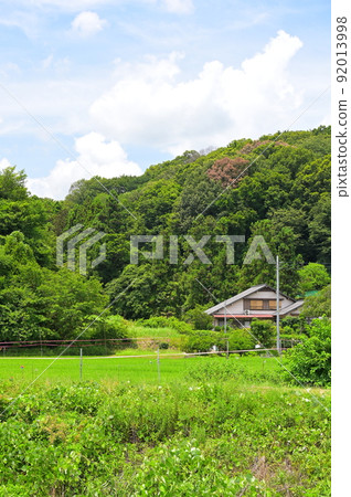 夏村風光厚木市 夏村風光厚木市 92013998