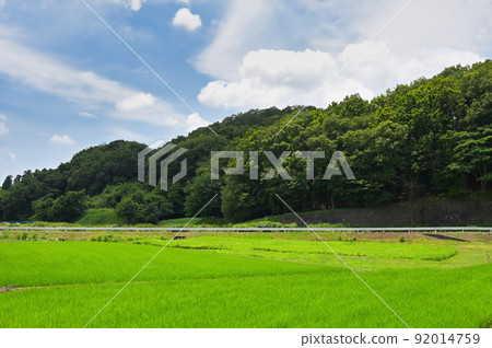 Ogino's countryside Ogino's countryside 92014759