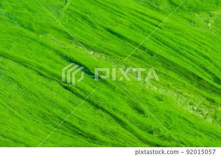 bright green mud close-up. Acid color green background bright green mud close-up. Acid color green background 92015057
