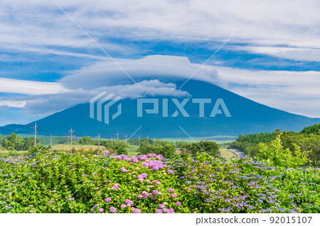 （靜岡縣）繡球花盛開，雲霧繚繞的富士山 92015107