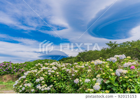 （靜岡縣）繡球花盛開的富士山和巨大的懸雲 92015153