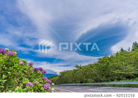 (Shizuoka Prefecture) Mt. Fuji with hydrangea in full bloom and huge hanging clouds 92015158