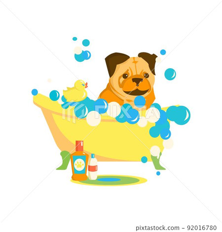 Pug in bubble bath. Bathroom washing for domestic animal. Grooming service. Cartoon vector illustration on white background Pug in bubble bath. Bathroom washing for domestic animal. Grooming service. Cartoon vector illustration on white background 92016780