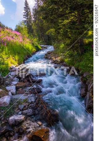 Mountain river flowing in a deep green forrest. Mountain river flowing in a deep green forrest. 92016847