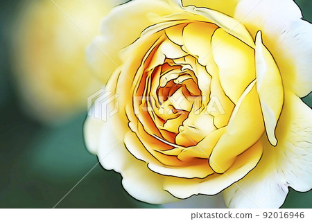 Pastel style "rose flower in full bloom" illustration image 92016946