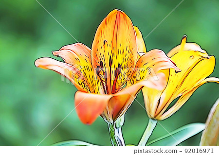 柔和的“Ezosukashiyuri”插圖圖像 92016971