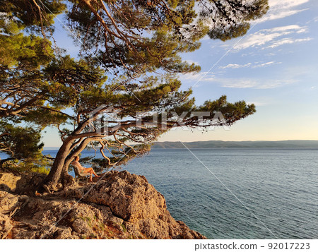 Pensive woman on vacations, sitting and relaxing under large pine tree on bench by dip blue sea enjoying beautiful sunset light in Brela, Makarska region, Dalmatia, Croatia 92017223