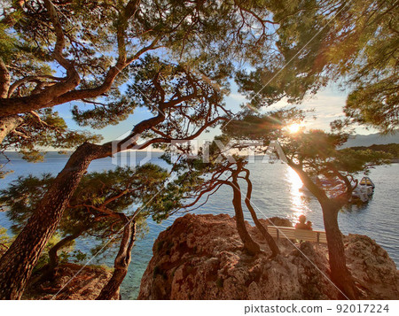 Pensive woman on vacations, sitting and relaxing under large pine tree on bench by dip blue sea enjoying beautiful sunset light in Brela, Makarska region, Dalmatia, Croatia 92017224