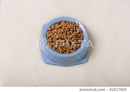Dry cat food in a bowl on the floor in the room Dry cat food in a bowl on the floor in the room 92017605