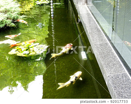 東京千代田區護國寺錦衣 92017733